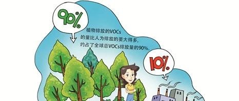 环保科普|为什么要关注植物排放的VOCs?